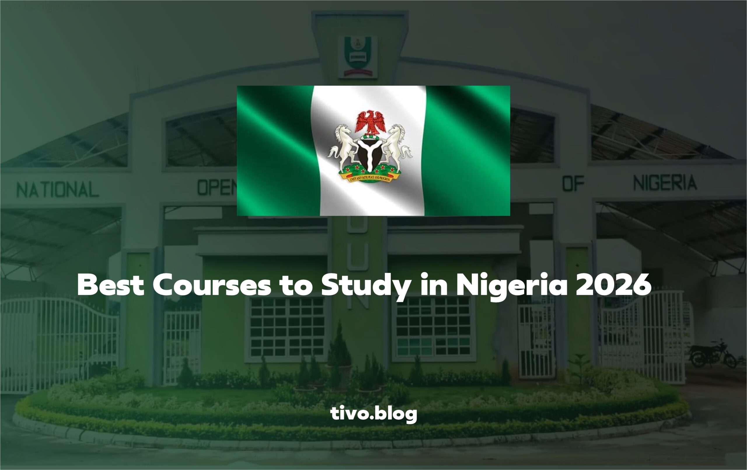Courses to Study in Nigeria