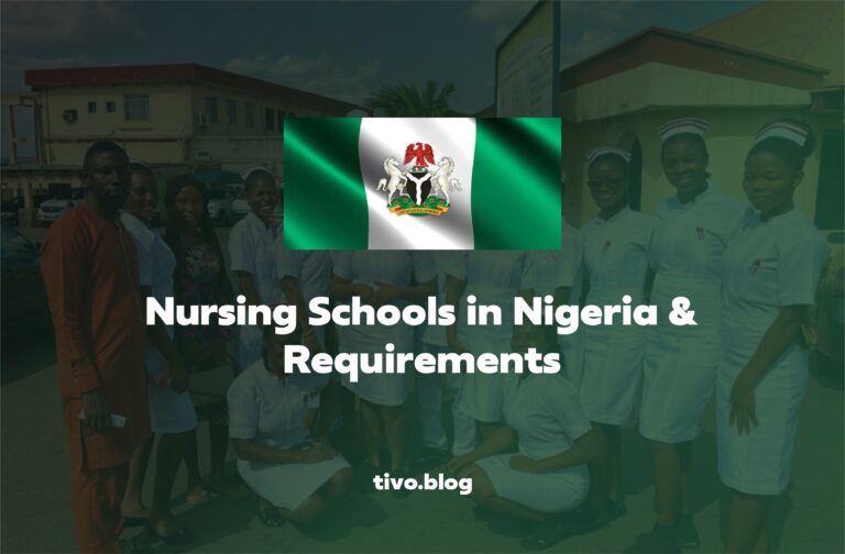 Nursing Schools in Nigeria